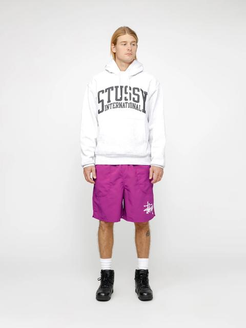 Stussy WATER SHORT BIG BASIC